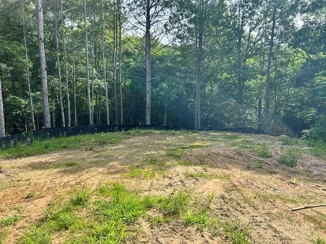 389 Timothy Drive Dallas, GA 30132