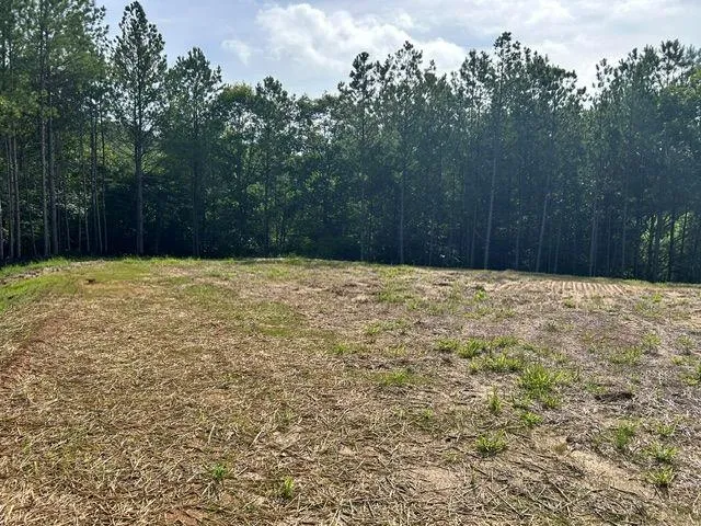 389 Timothy Drive Dallas, GA 30132