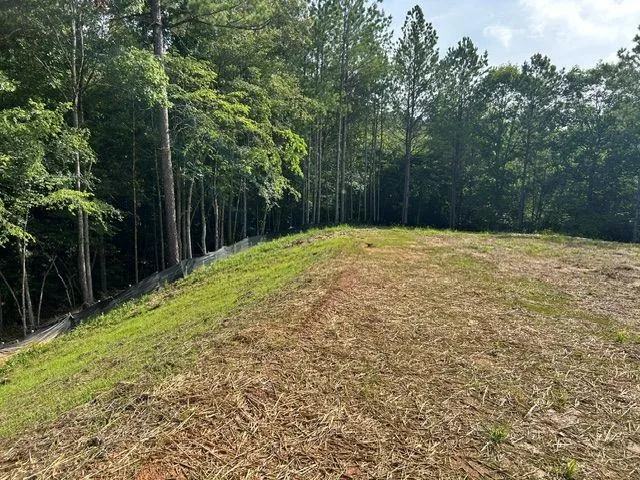 389 Timothy Drive Dallas, GA 30132