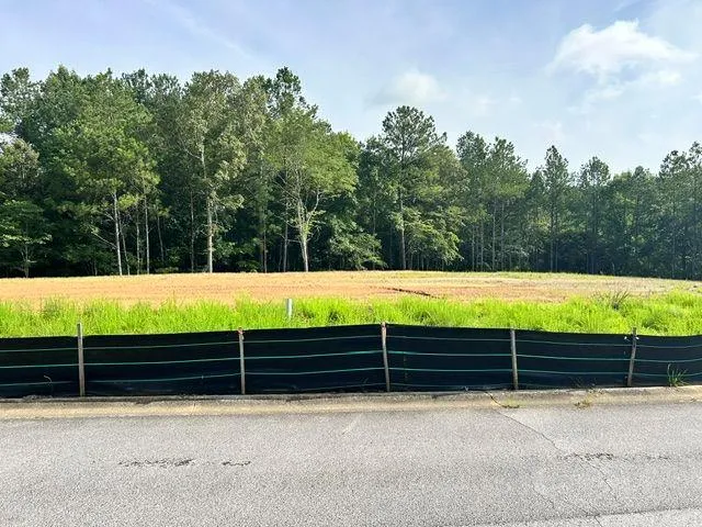 389 Timothy Drive Dallas, GA 30132