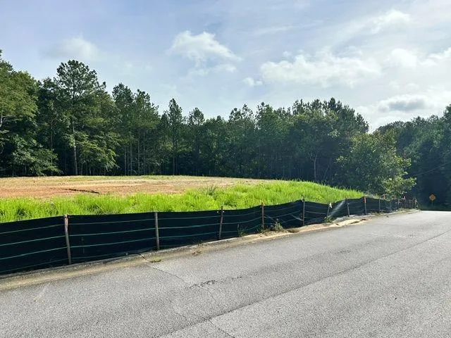 389 Timothy Drive Dallas, GA 30132
