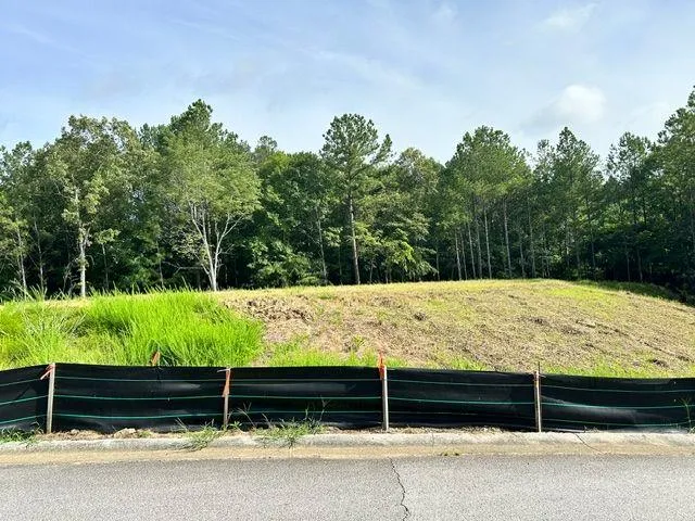 389 Timothy Drive Dallas, GA 30132