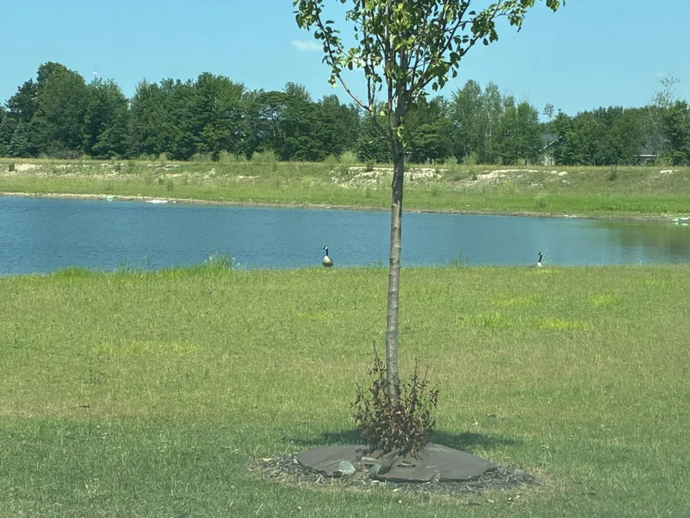 1890 Lowe Drive Spring Lake, MI 49456