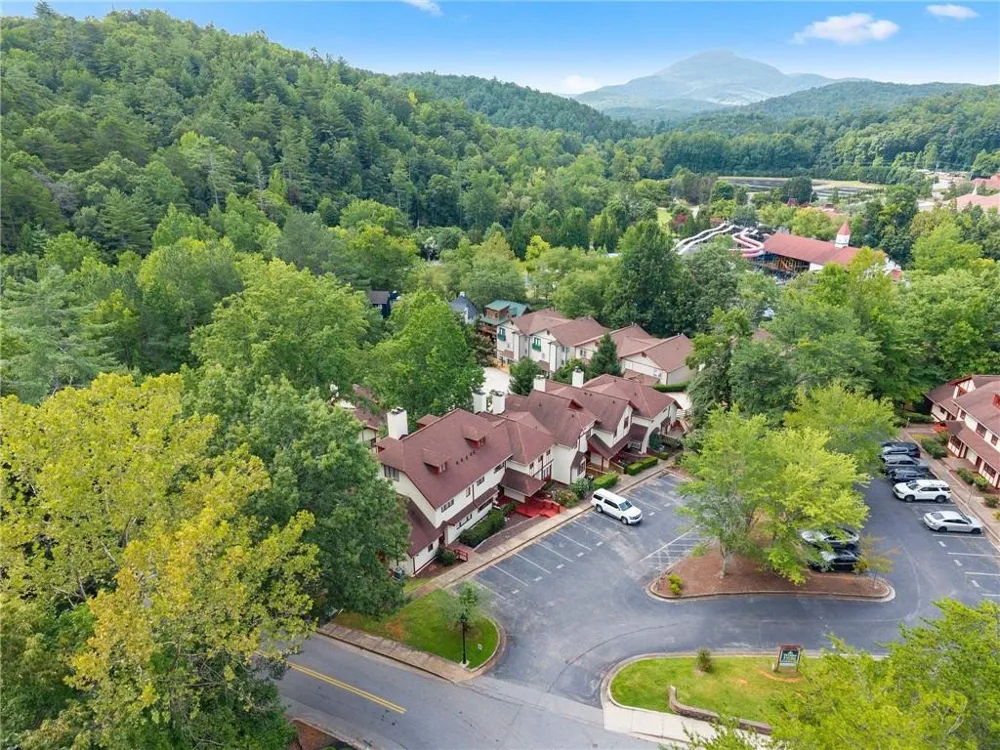 327 Brucken Strasse #311 Helen, GA 30545