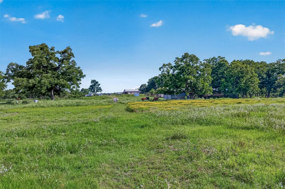 Mt Zion Road Brookshire, TX 77423