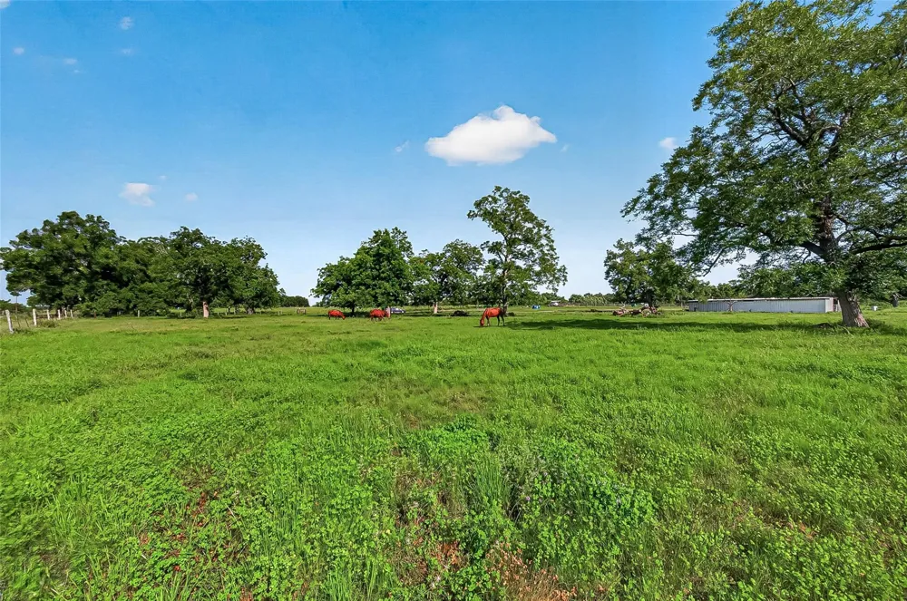 Mt Zion Road Brookshire, TX 77423