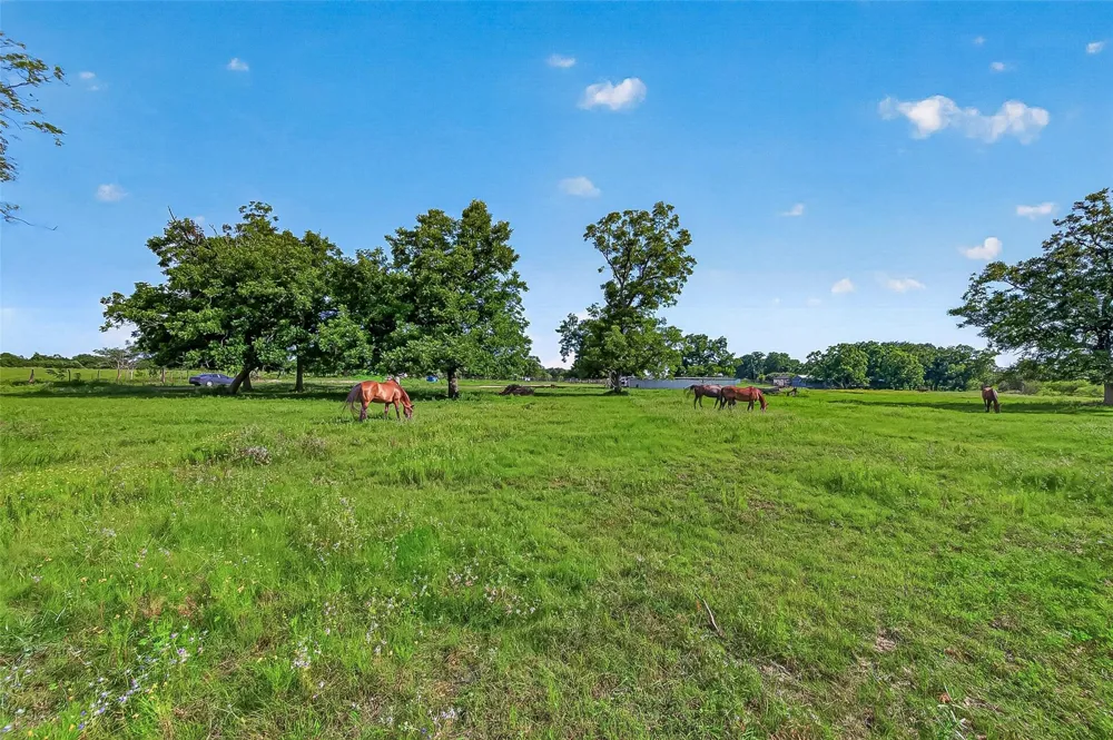 Mt Zion Road Brookshire, TX 77423