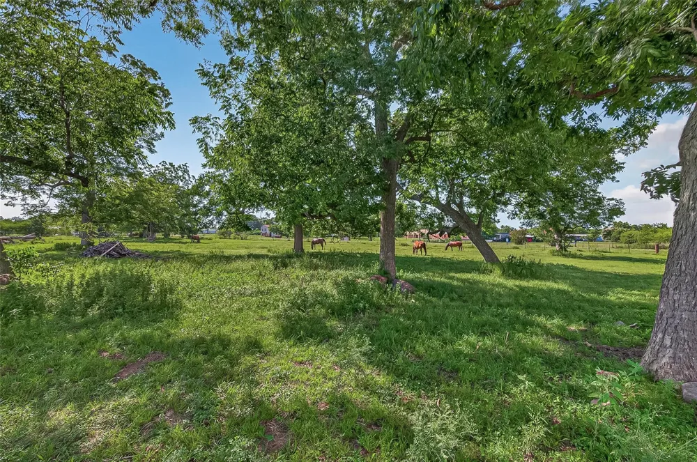Mt Zion Road Brookshire, TX 77423