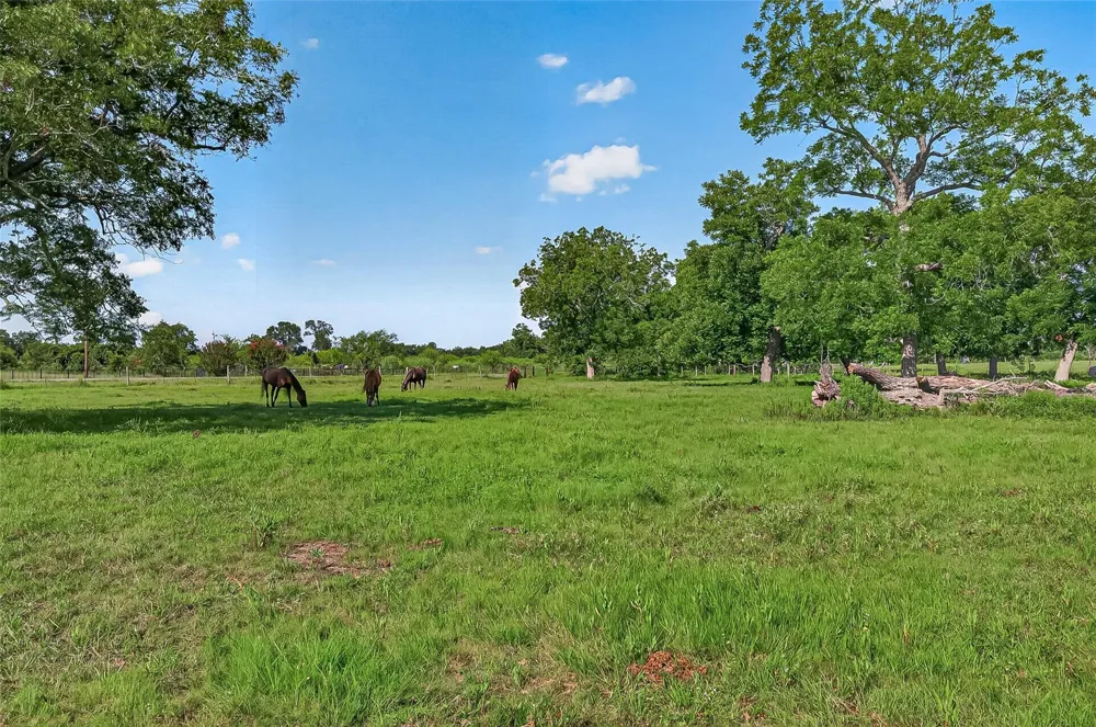 Mt Zion Road Brookshire, TX 77423