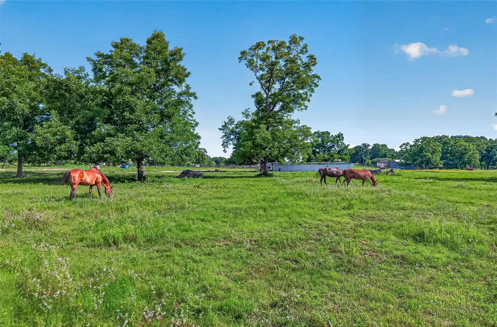Mt Zion Road Brookshire, TX 77423