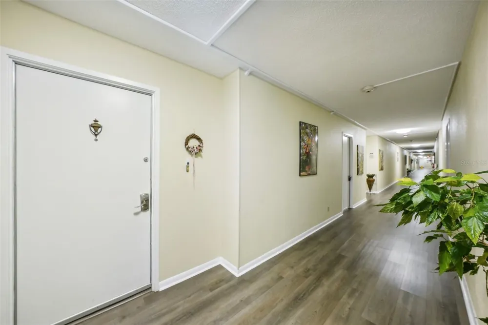 7400 SUN ISLAND DRIVE S #802 South Pasadena, FL 33707