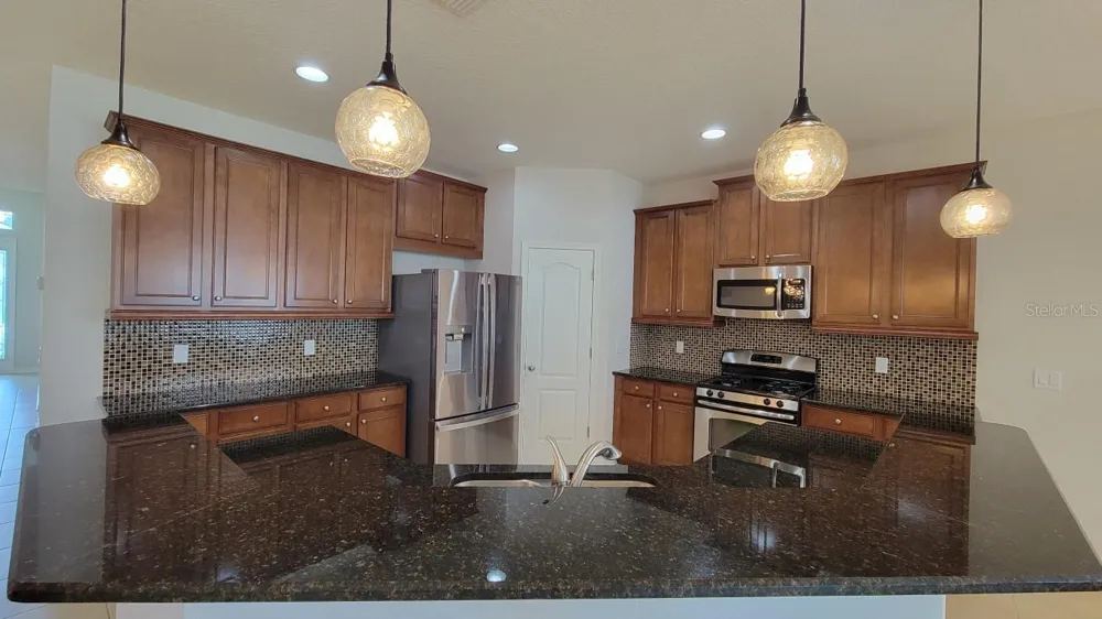 2229 VALTERRA VISTA WAY Valrico, FL 33594