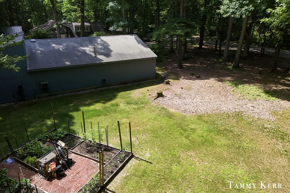 6059 Old Allegan Road Saugatuck, MI 49453