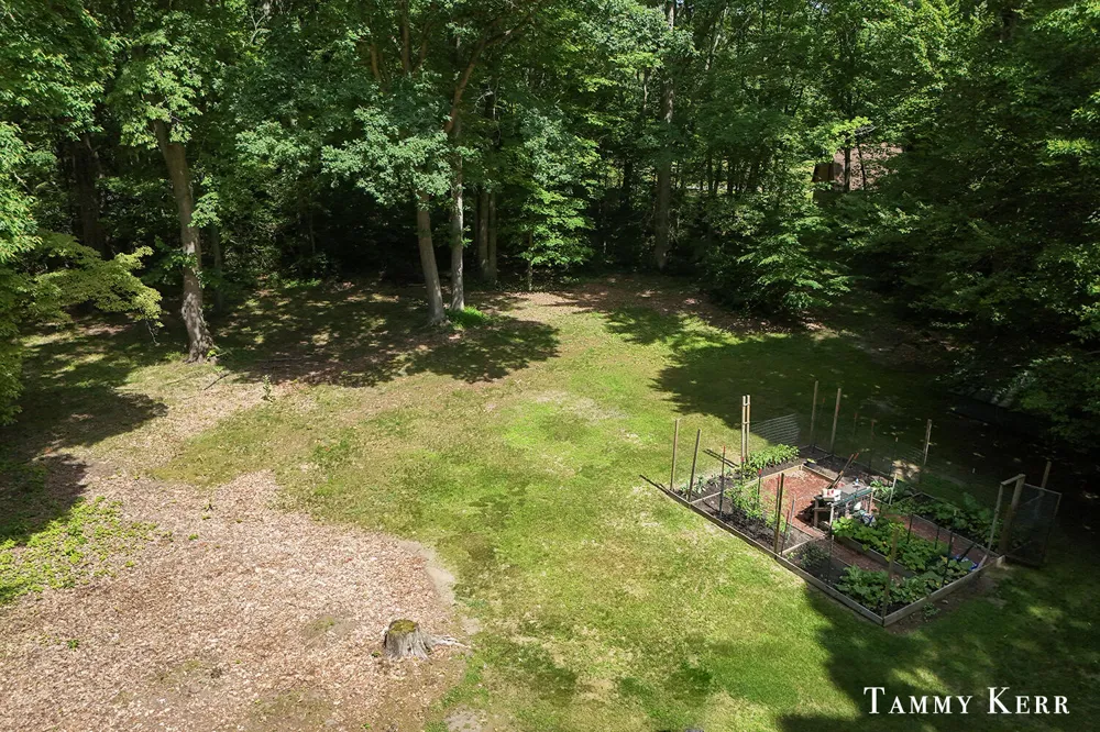 6059 Old Allegan Road Saugatuck, MI 49453