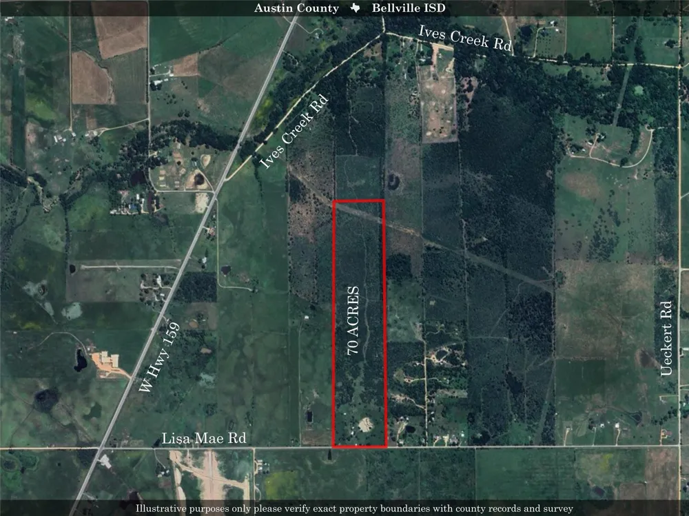 868 Lisa Mae Road Bellville, TX 77418