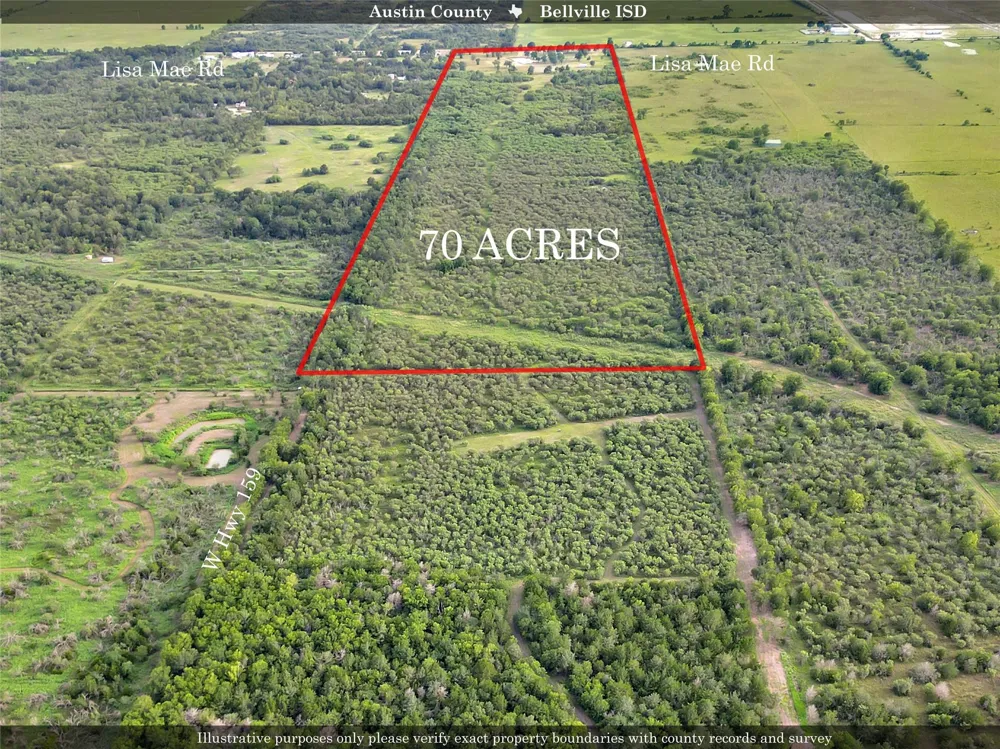 868 Lisa Mae Road Bellville, TX 77418