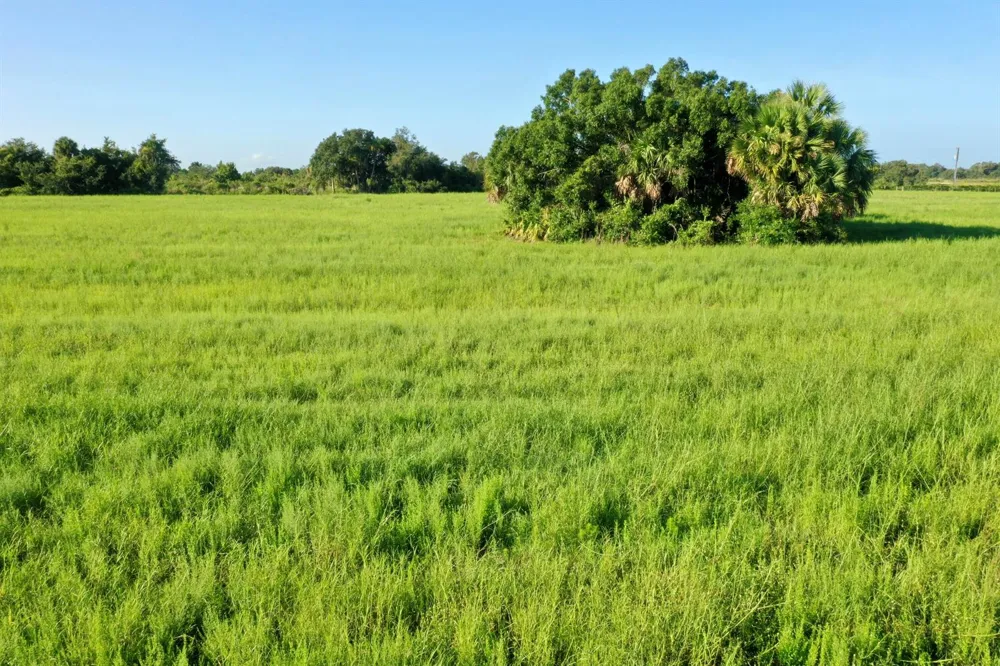 NW 276TH STREET Okeechobee, FL 34972