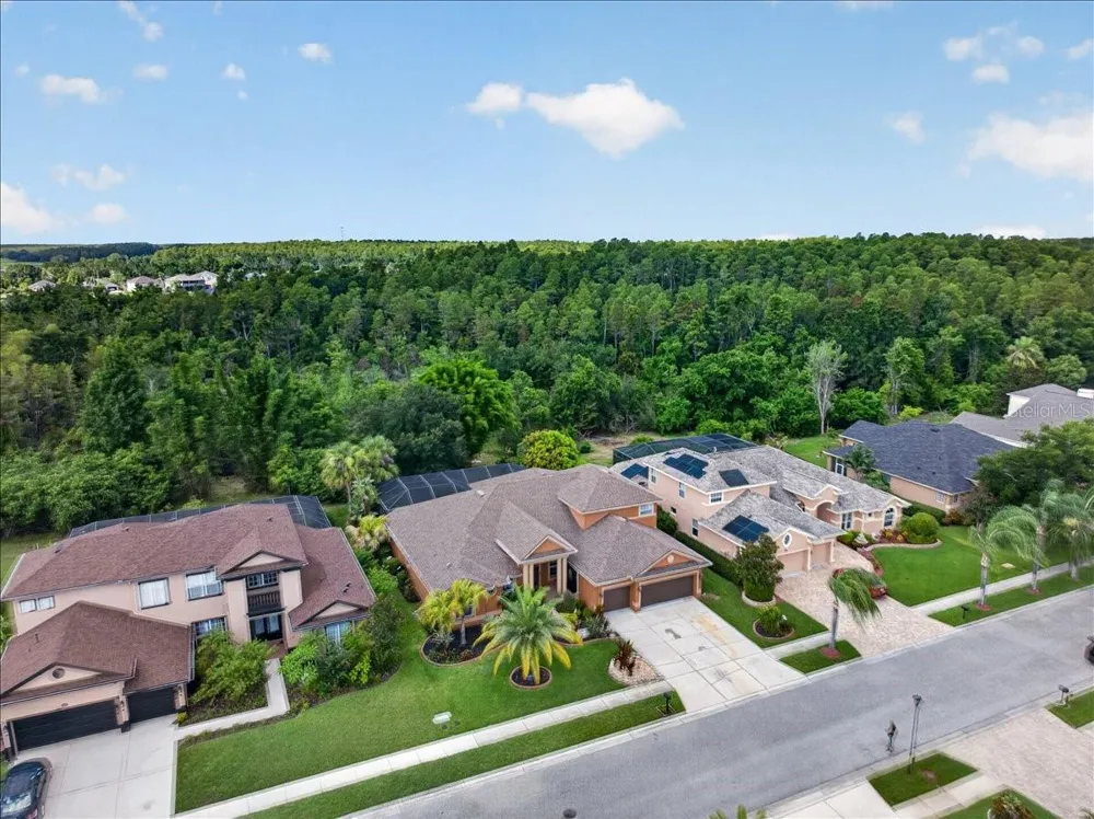 16410 IVY LAKE DRIVE Odessa, FL 33556