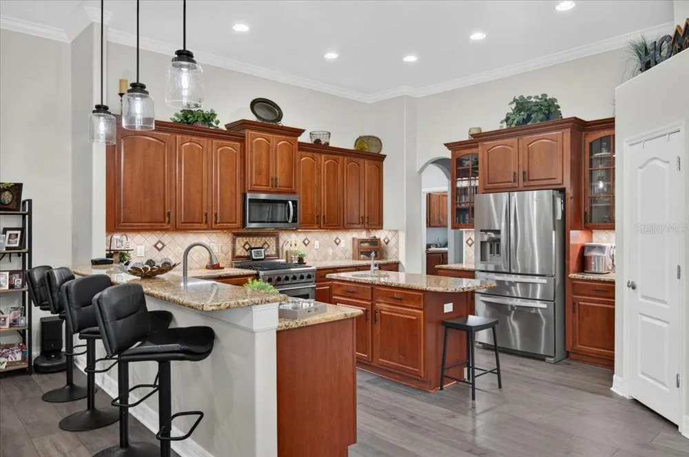 16410 IVY LAKE DRIVE Odessa, FL 33556