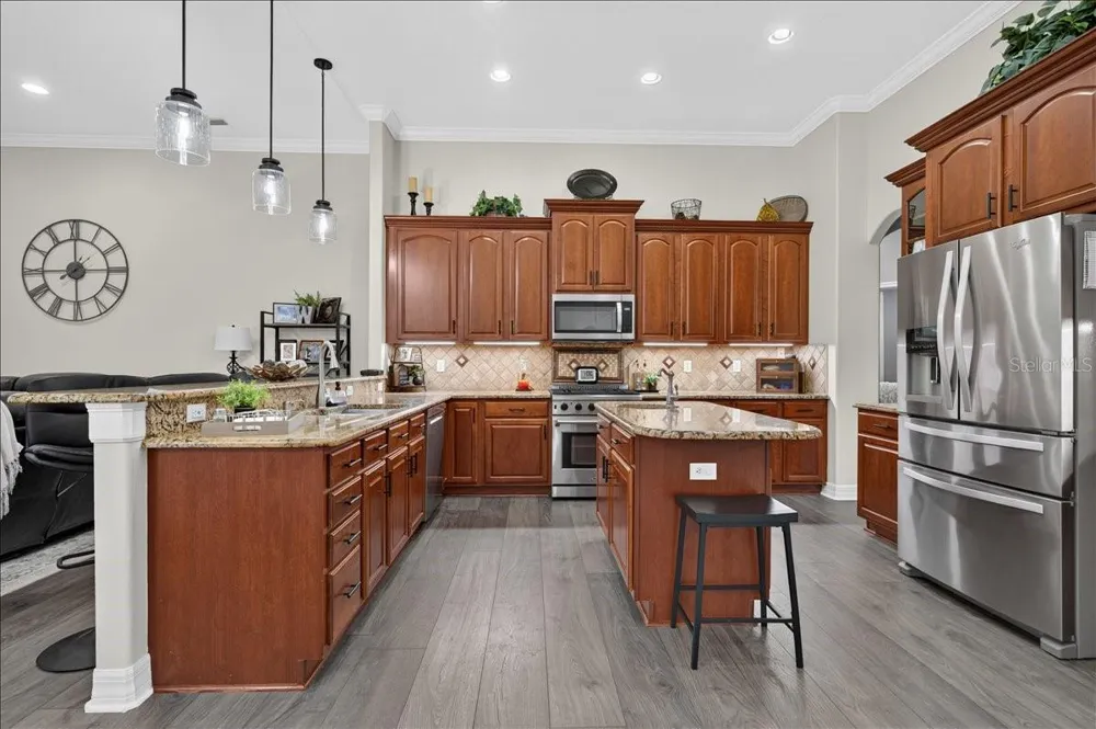 16410 IVY LAKE DRIVE Odessa, FL 33556