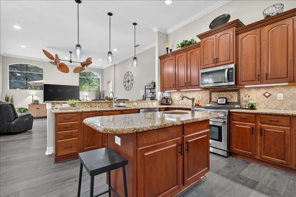 16410 IVY LAKE DRIVE Odessa, FL 33556