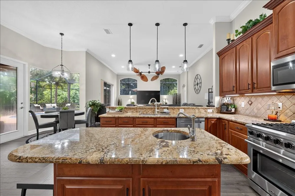 16410 IVY LAKE DRIVE Odessa, FL 33556