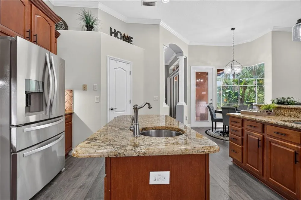 16410 IVY LAKE DRIVE Odessa, FL 33556
