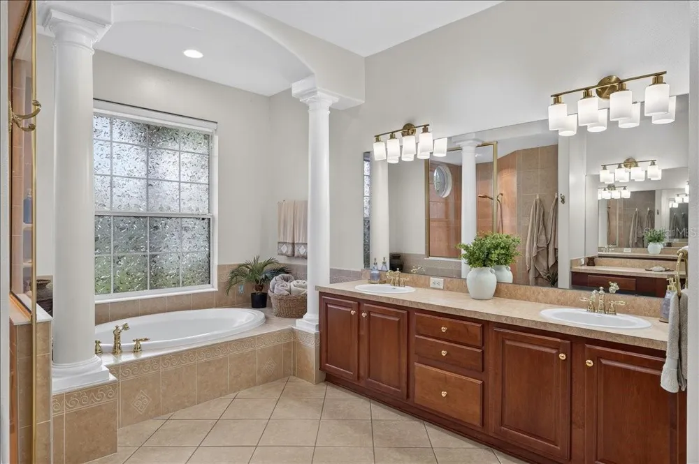 16410 IVY LAKE DRIVE Odessa, FL 33556