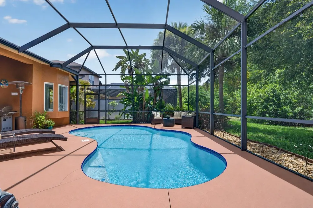 16410 IVY LAKE DRIVE Odessa, FL 33556
