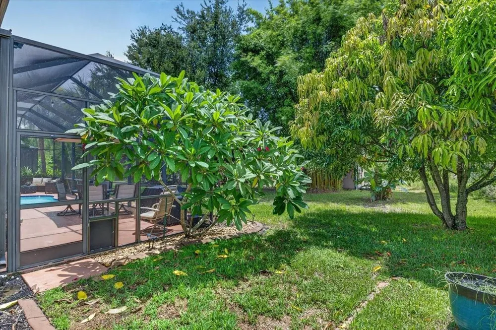 16410 IVY LAKE DRIVE Odessa, FL 33556