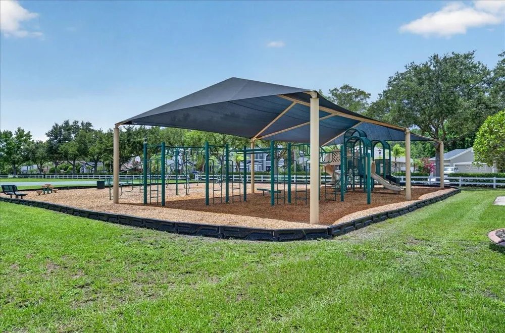 16410 IVY LAKE DRIVE Odessa, FL 33556