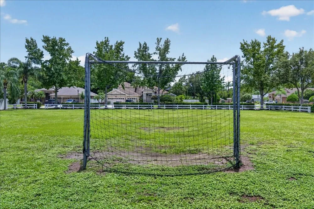 16410 IVY LAKE DRIVE Odessa, FL 33556