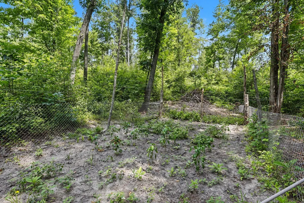 11091 W DRIVE Bellevue, MI 49021