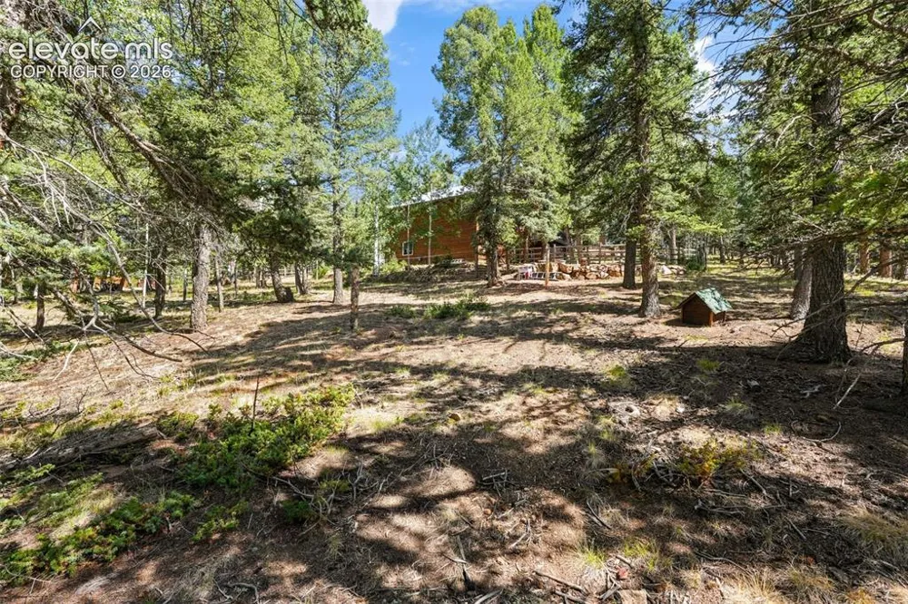 145 Grizzley Peak Road Florissant, CO 80816