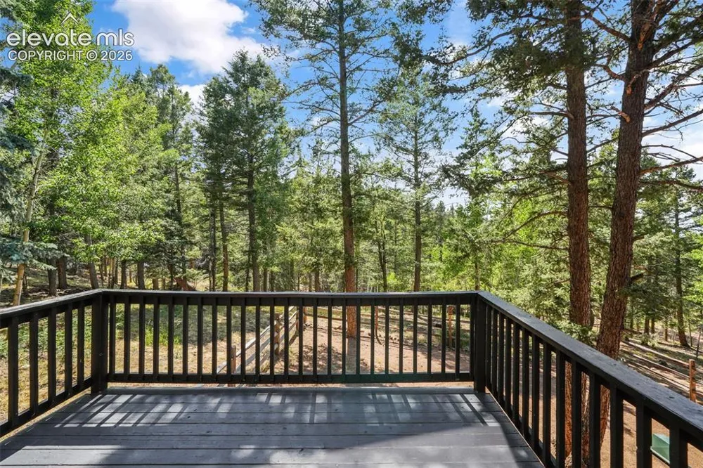 145 Grizzley Peak Road Florissant, CO 80816