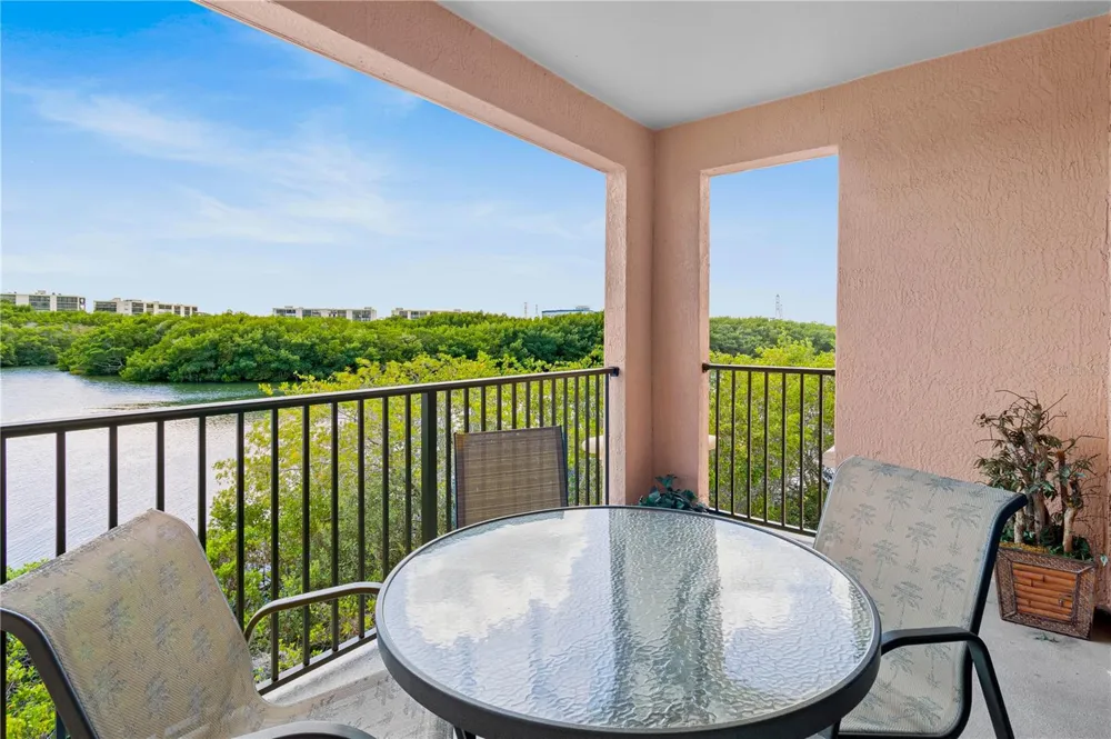 2729 VIA MURANO DRIVE #429 Clearwater, FL 33764