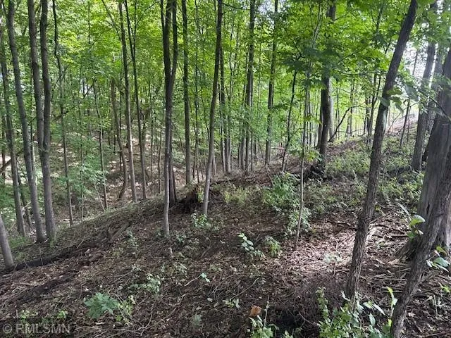 10492 Kalland Lane NE Hanover, MN 55341