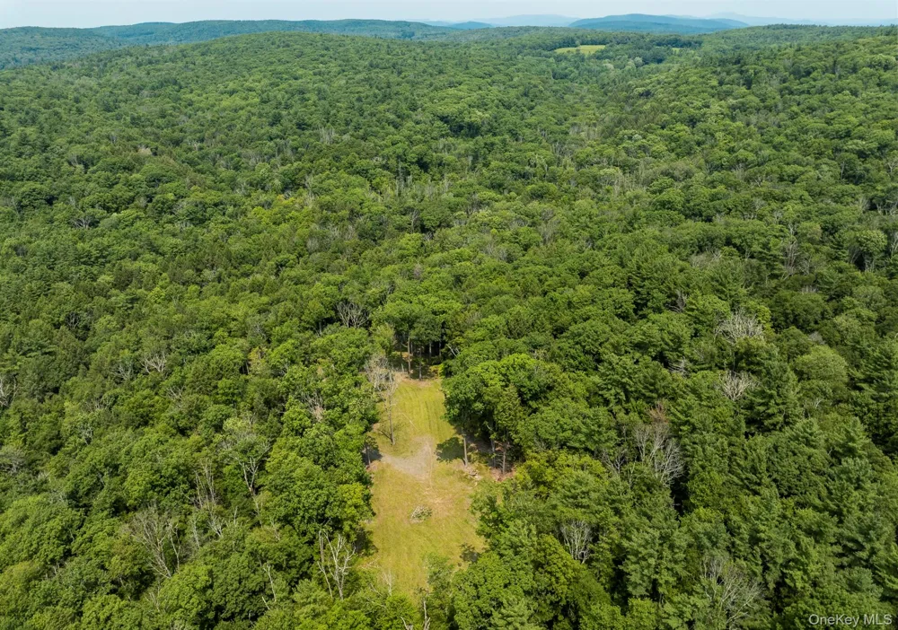 276 E Hill Road Austerlitz, NY 12017