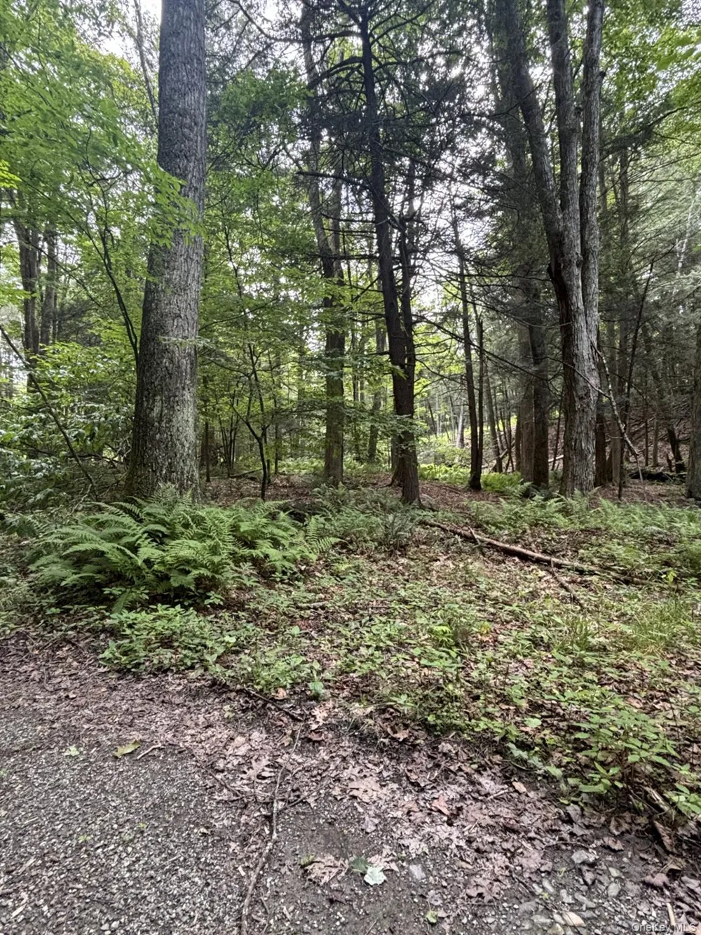 276 E Hill Road Austerlitz, NY 12017