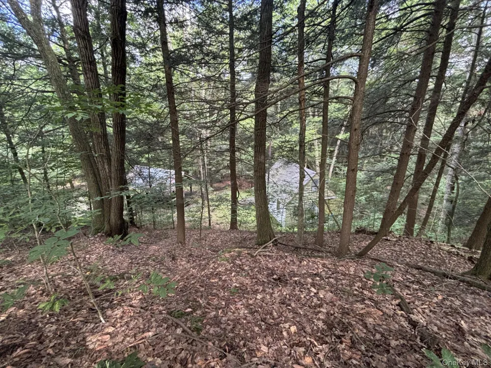 276 E Hill Road Austerlitz, NY 12017