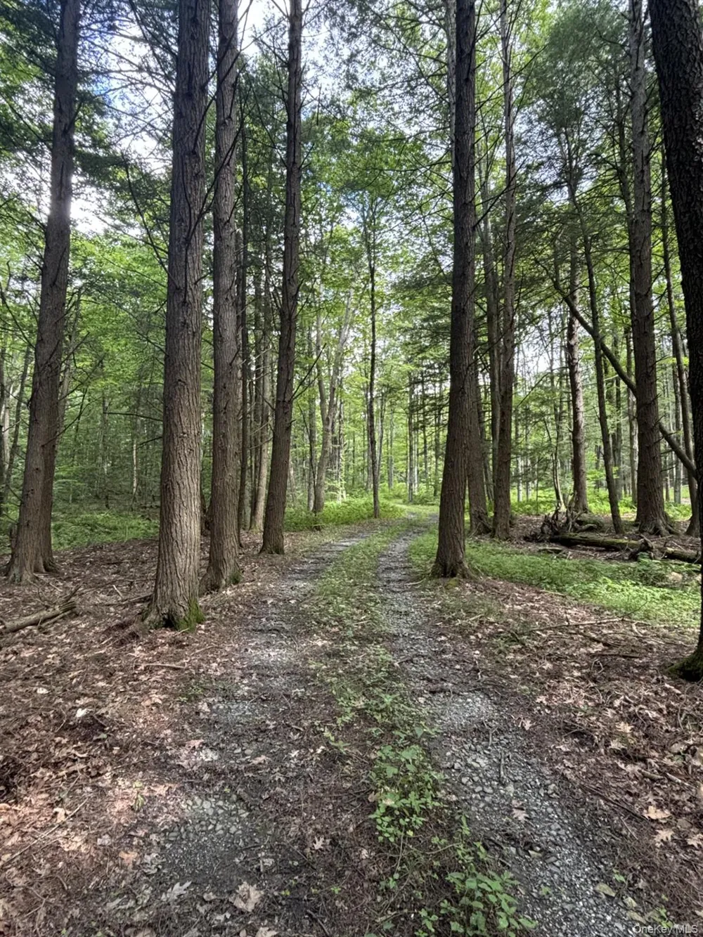 276 E Hill Road Austerlitz, NY 12017