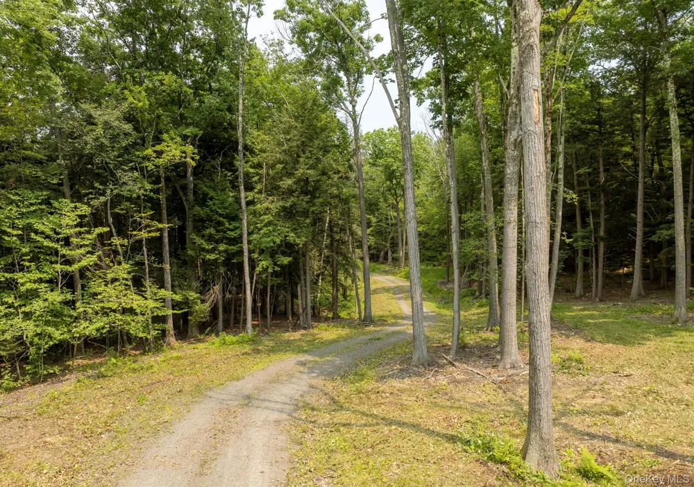 276 E Hill Road Austerlitz, NY 12017