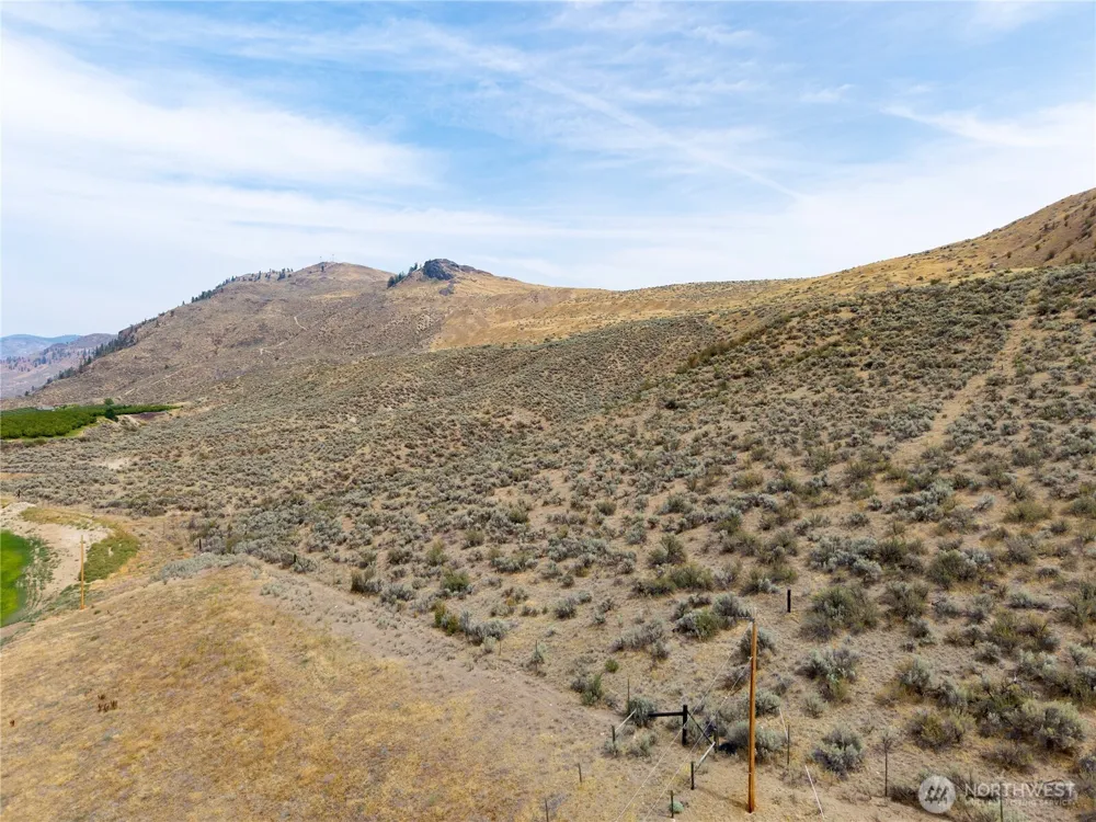 0 TBD Nicholson Road W #X Tonasket, WA 98855