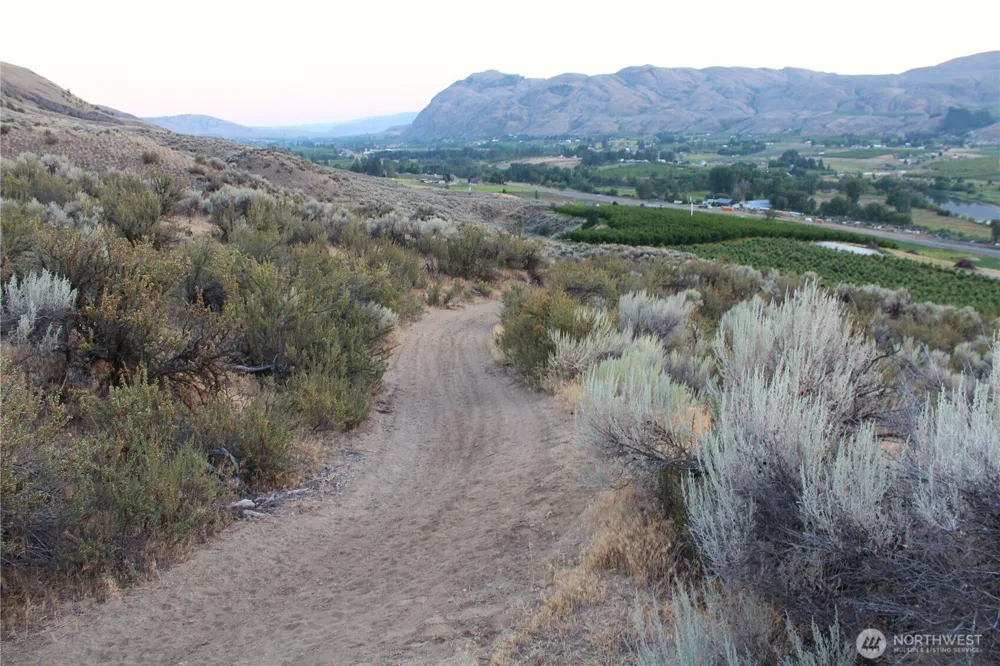 0 W TBD Nicholson Road Tonasket, WA 98855