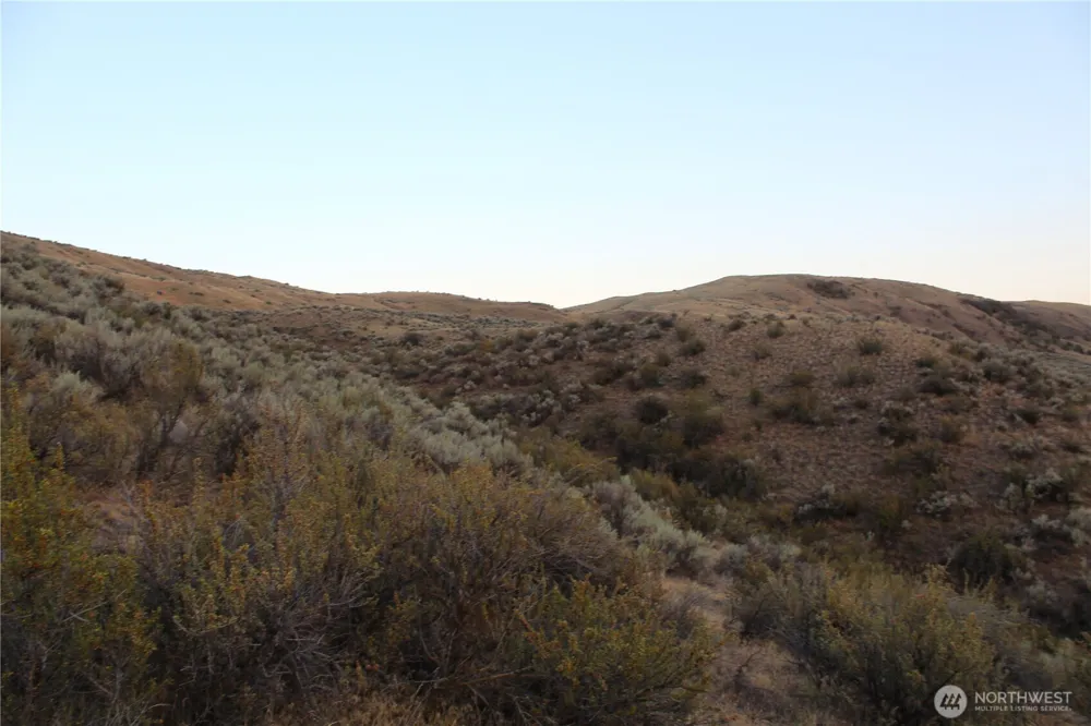 0 W TBD Nicholson Road Tonasket, WA 98855