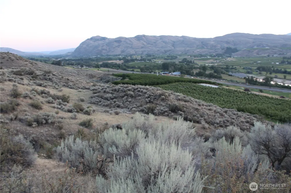 0 W TBD Nicholson Road Tonasket, WA 98855