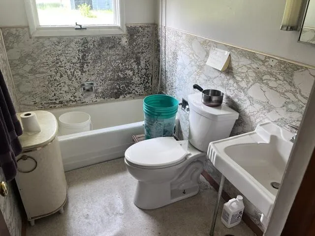 13251 Makinen Road Kaleva, MI 49645