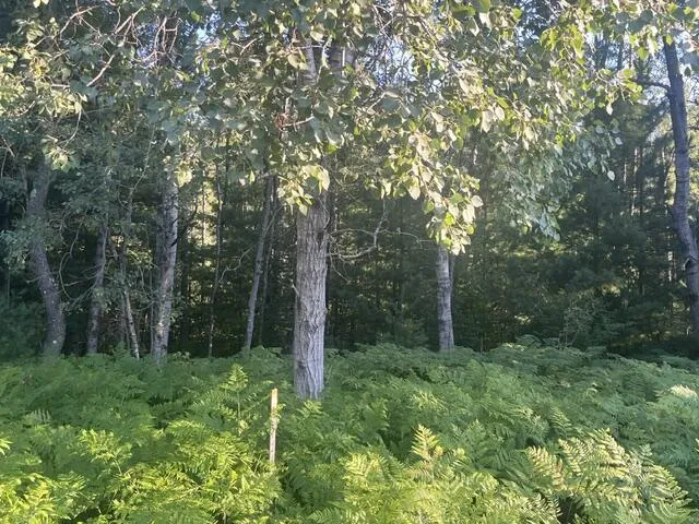 13251 Makinen Road Kaleva, MI 49645