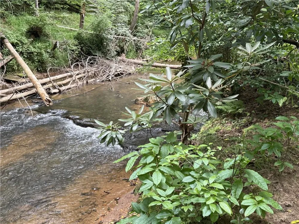 0 Yahoola Indian Road Dahlonega, GA 30533