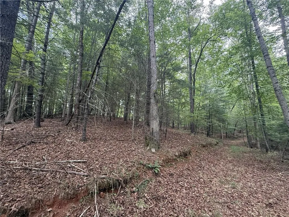 0 Yahoola Indian Road Dahlonega, GA 30533